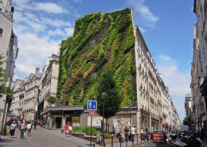 jardim-vertical-paris